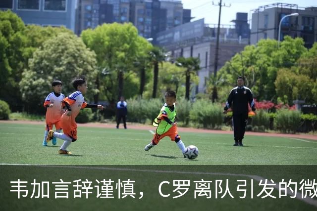 韦加言辞谨慎，C罗离队引发的微妙氛围